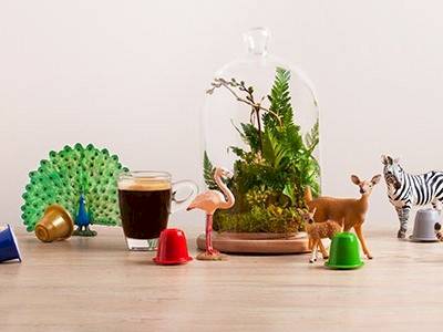 La nouvelle gamme de La Maison du Bon Café, Junglespresso. La nouvelle gamme de La Maison du Bon Café, Junglespresso.