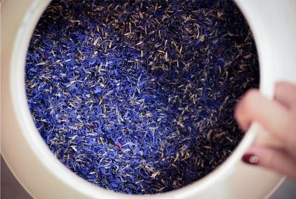 <div class="menu-title">Actualités thé