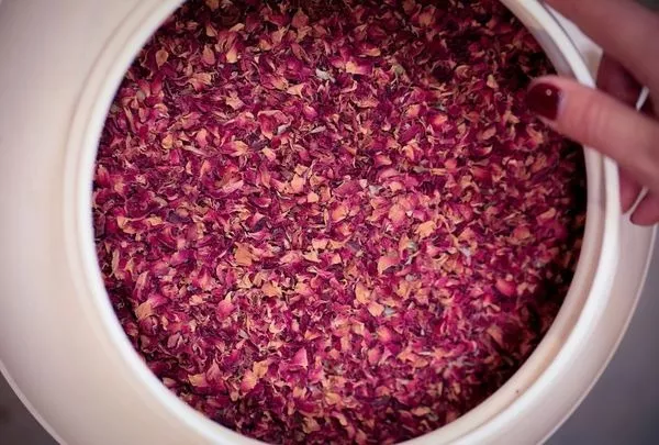 <div class="menu-title">Actualités infusion