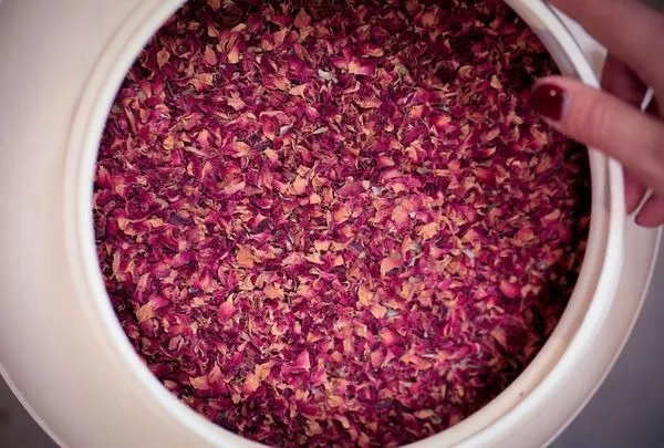 <span class="menu-title">Actualités infusion</span>