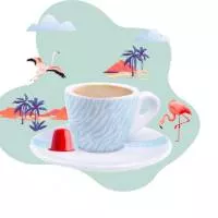 Café Fidji Café Fidji