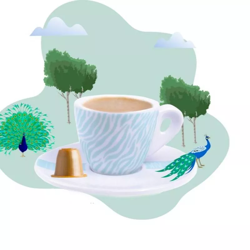 Café Pandora Café Pandora