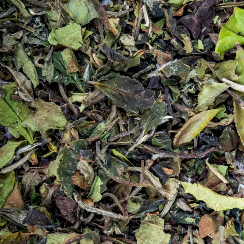 Thé blanc bio Bai Mu Dan Thé blanc bio Bai Mu Dan