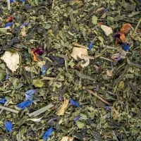 Thé vert veillée en Provence Thé vert veillée en Provence