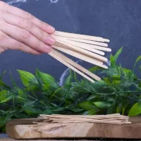 Agitateurs en bois x100 Agitateurs en bois x100