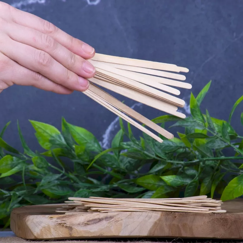 Agitateurs en bois x100 Agitateurs en bois x100