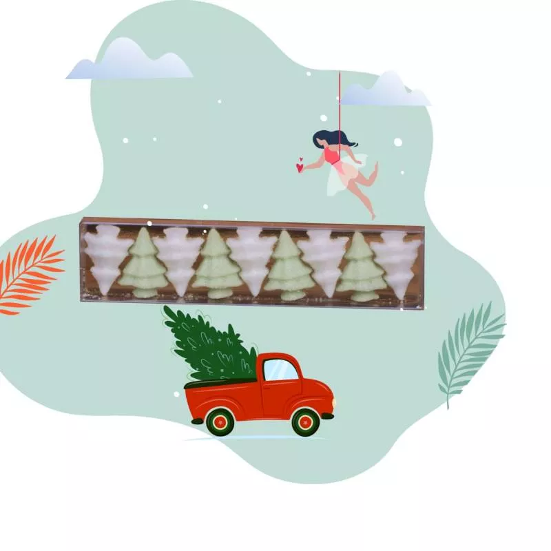 Boîte sucres sapins Boîte sucres sapins