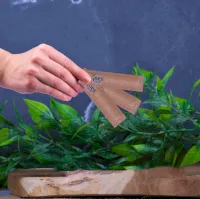 Boîte sucres x625 BIO Boîte sucres x625 BIO