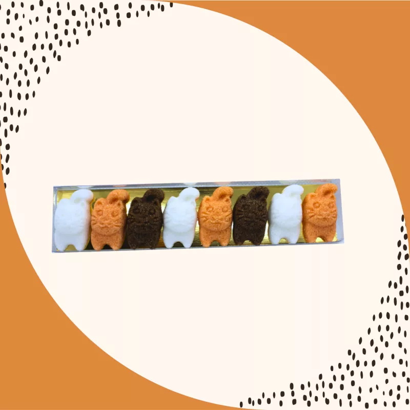 Boîte 8 sucres chats Boîte 8 sucres chats