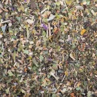 Infusion menthe poivrée bio