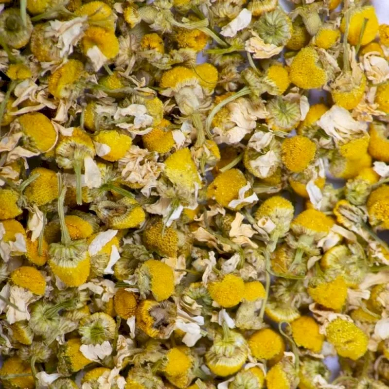 Infusion Camomille bio Infusion Camomille bio