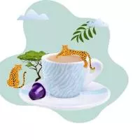 Café Savana Café Savana