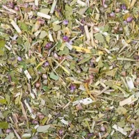 Infusion Sur un nuage