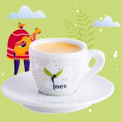 Café bio du Mexique Café bio du Mexique