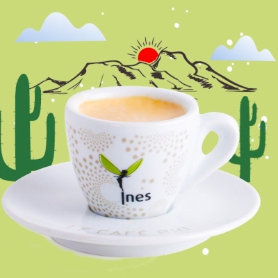 Décaféiné biologique Décaféiné biologique